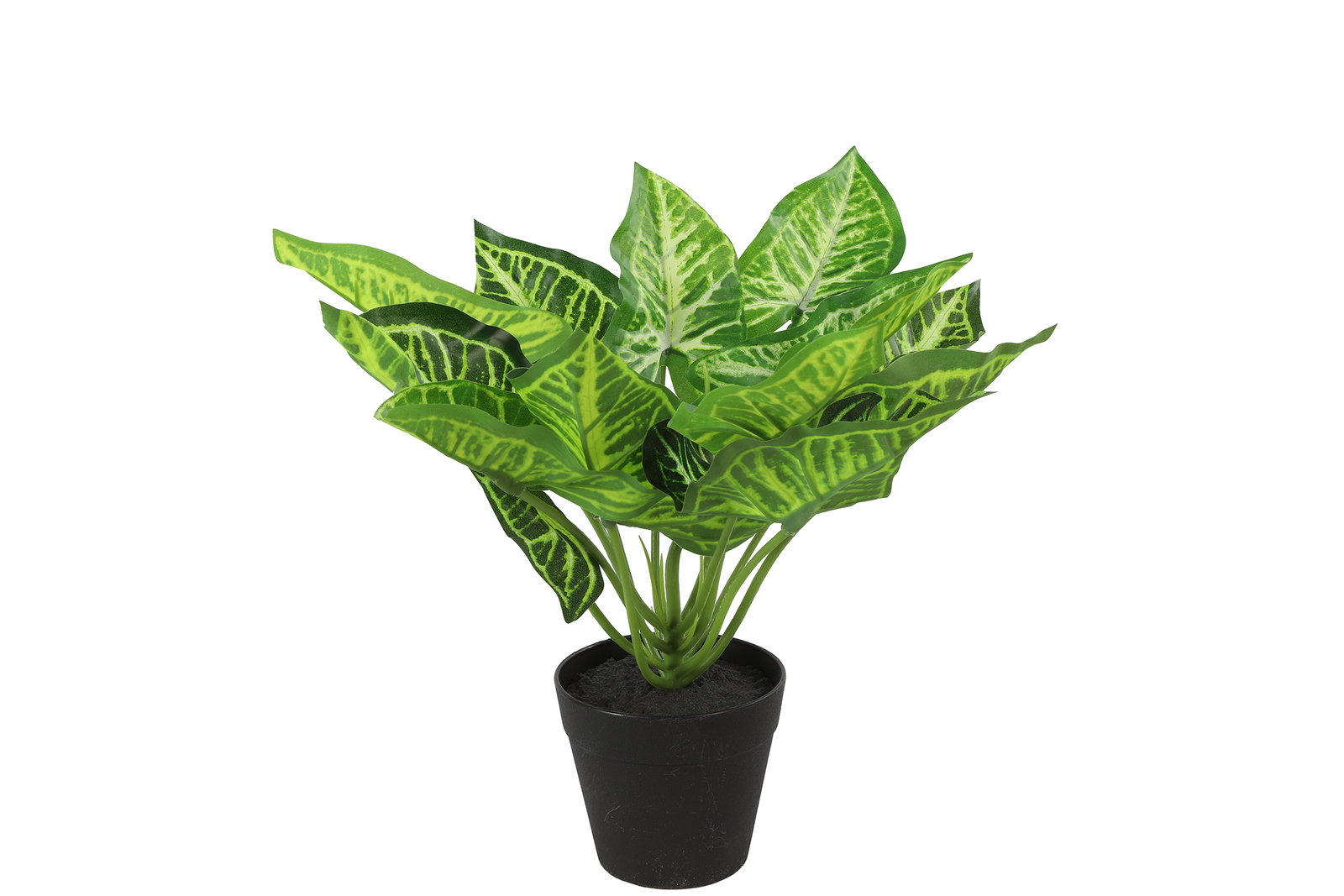 https://cdn.warentuin.nl/media/catalog/product/S/C/SCAN8718317808463_countryfield_kunstbloem_calathea_s_groen_countryfield_363f.jpg
