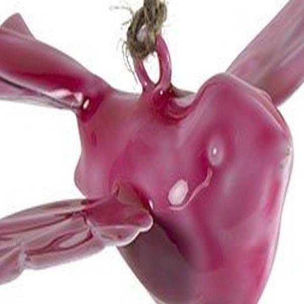 https://cdn.warentuin.nl/media/catalog/product/S/C/SCAN8718317949289_01_hanger_chery_metaal_14x4x10_cm_roze_1_stuk_countryfield_2f4a.jpg
