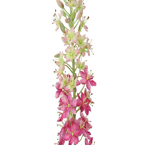 https://cdn.warentuin.nl/media/catalog/product/S/C/SCAN8718317979460_01_countryfield_kunstbloem_eremurus_kunststof_5x6xg_9268.jpg