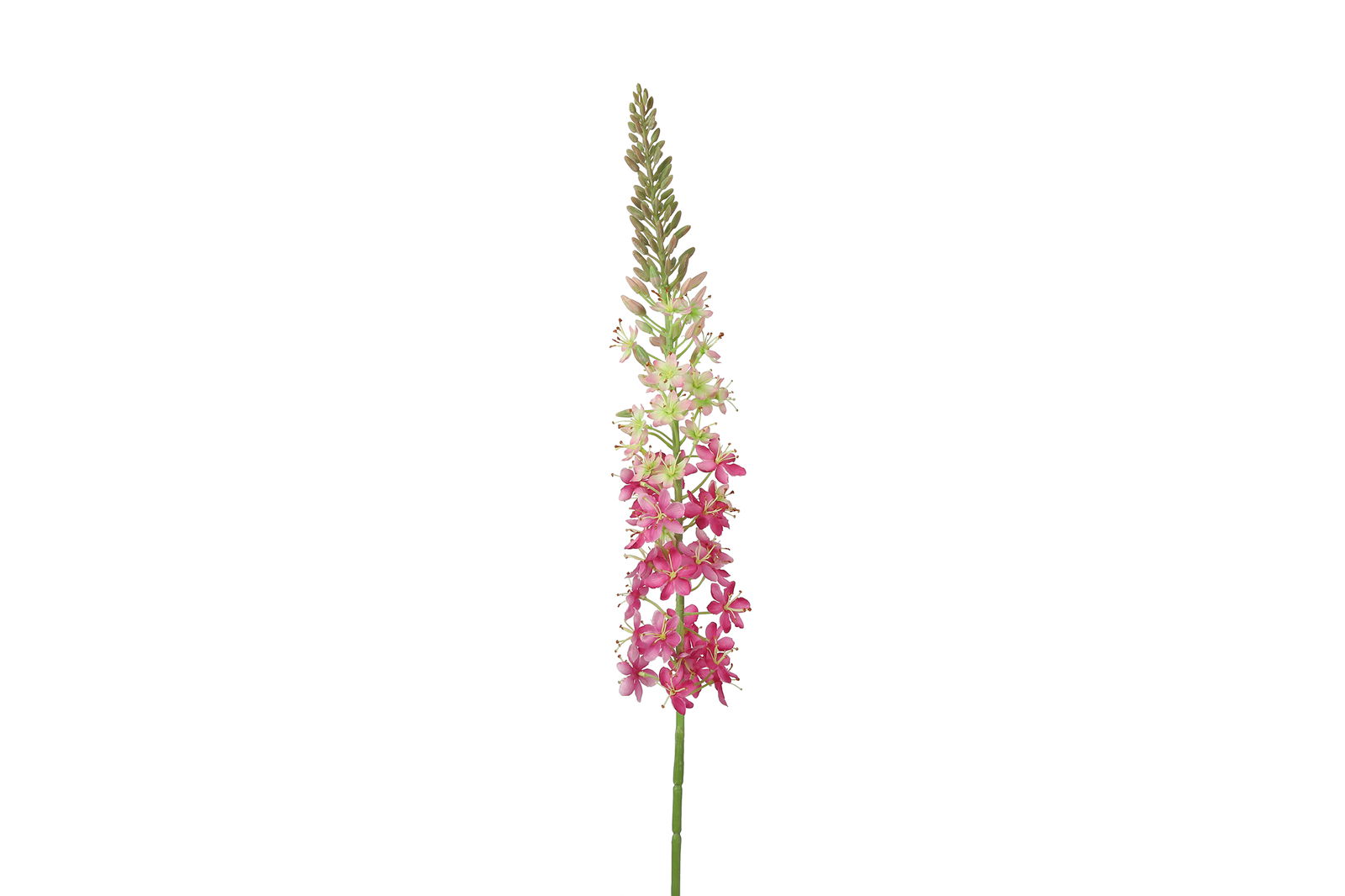 Eremurus kunststof 5x6x105 cm roze - Countryfield