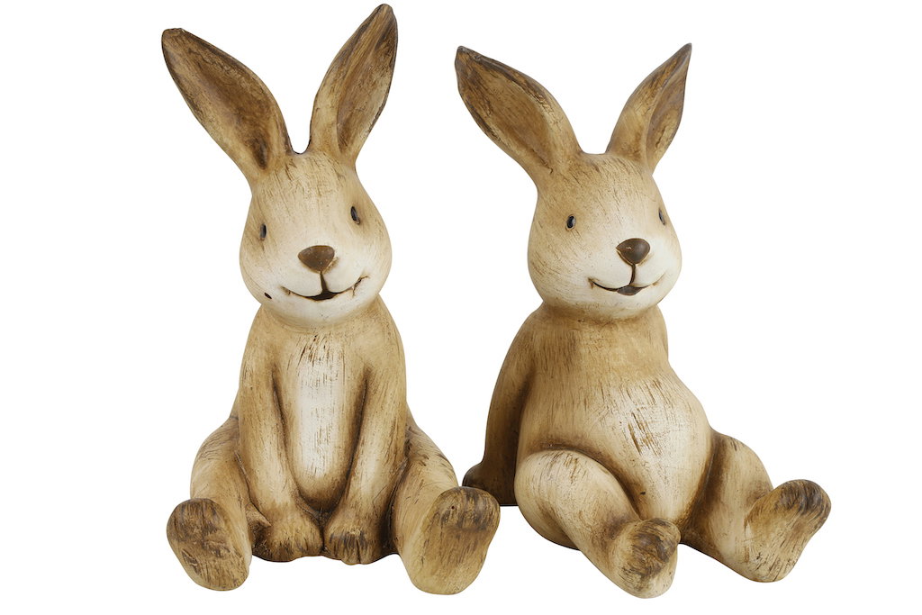 https://cdn.warentuin.nl/media/catalog/product/S/C/SCAN8718318024480_countryfield_haas_haas_kevin_9_3x8_3x14_2_cm_br_3f0a.jpg