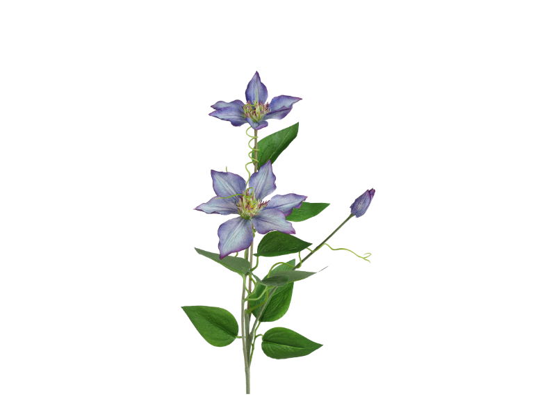 Countryfield Kunstbloem Clementis 20x15x76 cm blauw - 
