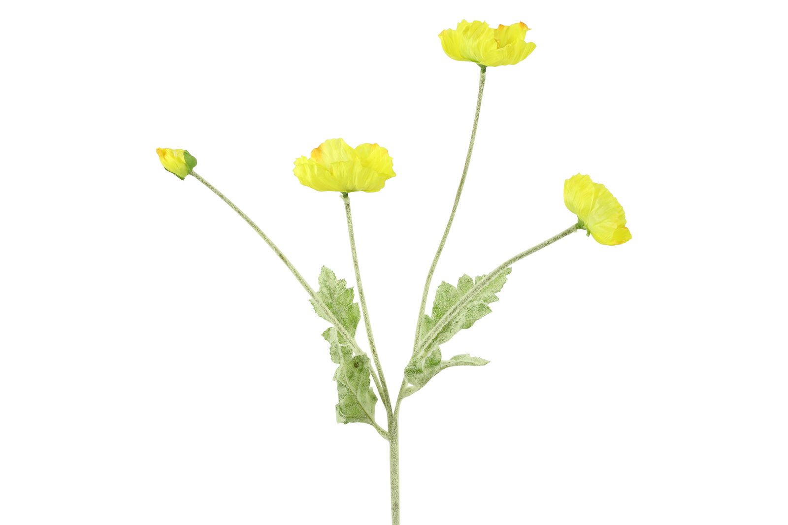 https://cdn.warentuin.nl/media/catalog/product/S/C/SCAN8718318053312_countryfield_kunstbloem_cosmea_kunststof_61x10x_e43b.jpg