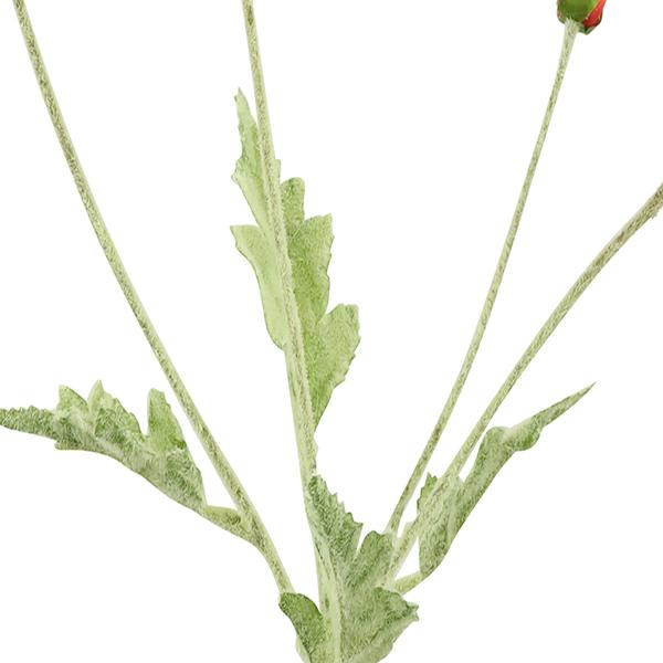 https://cdn.warentuin.nl/media/catalog/product/S/C/SCAN8718318053336_01_countryfield_kunstbloem_cosmea_kunststof_61x10xg_a573.jpg