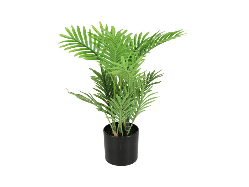 https://cdn.warentuin.nl/media/catalog/product/S/C/SCAN8718318077844_countryfield_woonaccesoires_kunstplant_areca_26x30x40_cm_groe_3fea.jpg