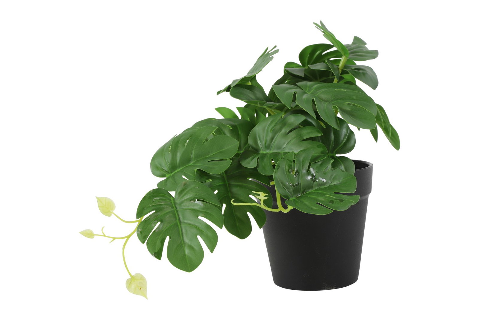 https://cdn.warentuin.nl/media/catalog/product/S/C/SCAN8718318078322_countryfield_kunstplant_monstera_kunststof_26x2_dc27.jpg