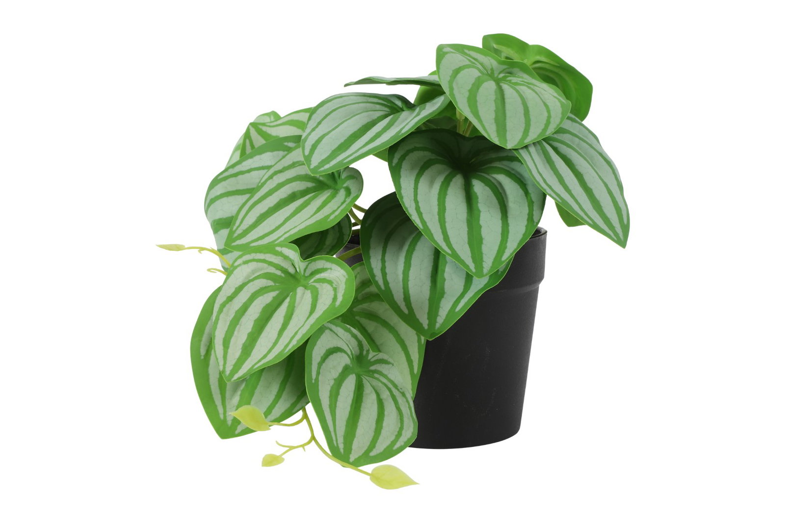 https://cdn.warentuin.nl/media/catalog/product/S/C/SCAN8718318078339_kunstplant_philodendron_groen_countryfield_29bc.jpg