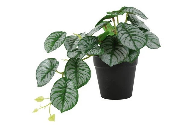 https://cdn.warentuin.nl/media/catalog/product/S/C/SCAN8718318078346_kunstplant_alocasia_groen_countryfield_d1e2.jpg