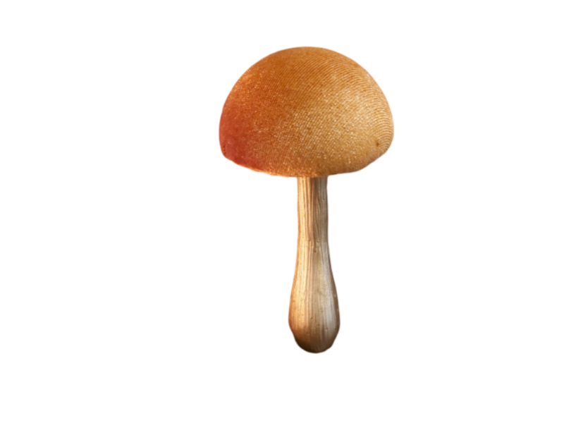 Paddestoel fungo 7.8x7.8x14 cm bruin I - Countryfield