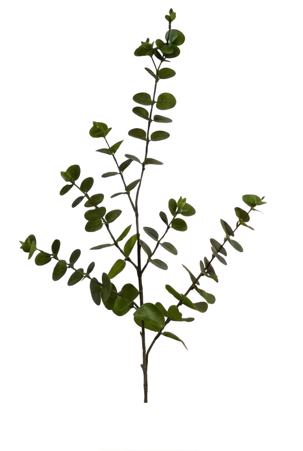 Eucalyptussteel 30x24x90 cm oranje kunstbloem Decostar - Decostar