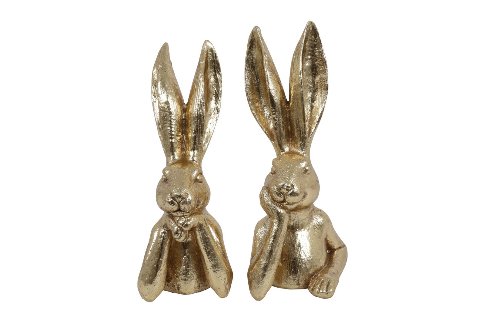https://cdn.warentuin.nl/media/catalog/product/S/C/SCAN8718318196460_haas_zen_m_a2_goud_countryfield_a7e1.jpg