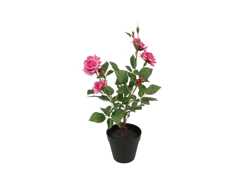 https://cdn.warentuin.nl/media/catalog/product/S/C/SCAN8718318211491_countryfield_woonaccesoires_kunstplant_camellia_25x20x49_cm_d_b091.jpg