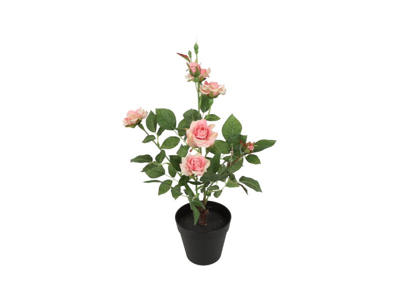 https://cdn.warentuin.nl/media/catalog/product/S/C/SCAN8718318211507_countryfield_woonaccesoires_kunstplant_camellia_25x20x49_cm_r_7879.jpg