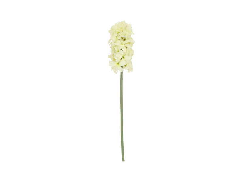 https://cdn.warentuin.nl/media/catalog/product/S/C/SCAN8718318214393_countryfield_woonaccesoires_kunstbloem_hyacinth_42x9x8_cm_wit_5900.jpg