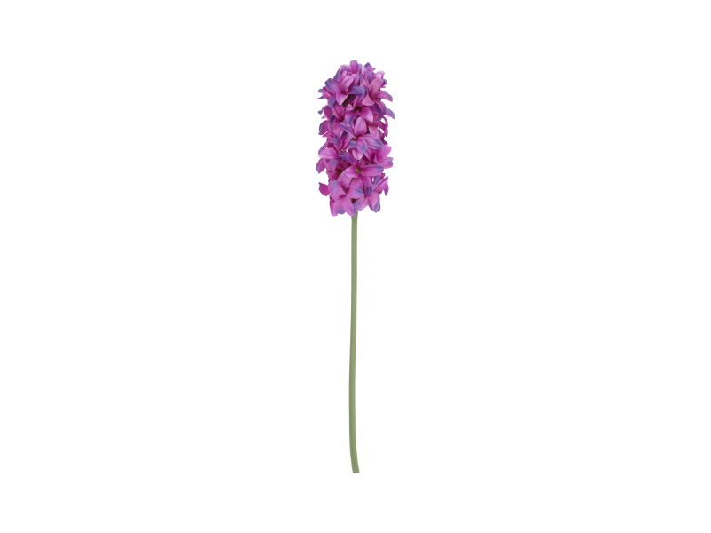 https://cdn.warentuin.nl/media/catalog/product/S/C/SCAN8718318214430_countryfield_woonaccesoires_kunstbloem_hyacinth_42x9x8_cm_prs_e9fa.jpg