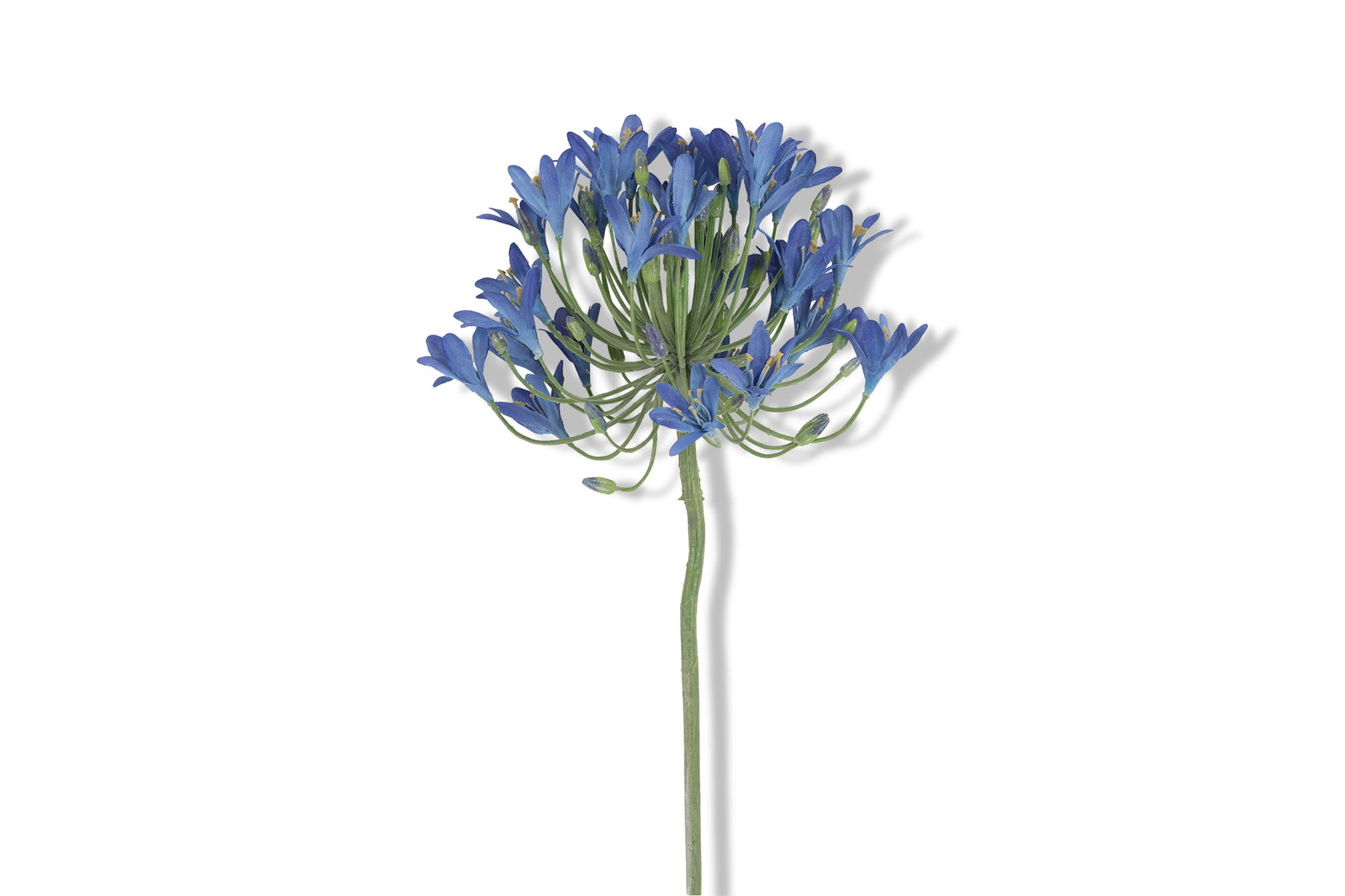 https://cdn.warentuin.nl/media/catalog/product/S/C/SCAN8718318216007_01_countryfield_woonaccesoires_kunstbloem_agapanthus_90x20x10_e421.jpg