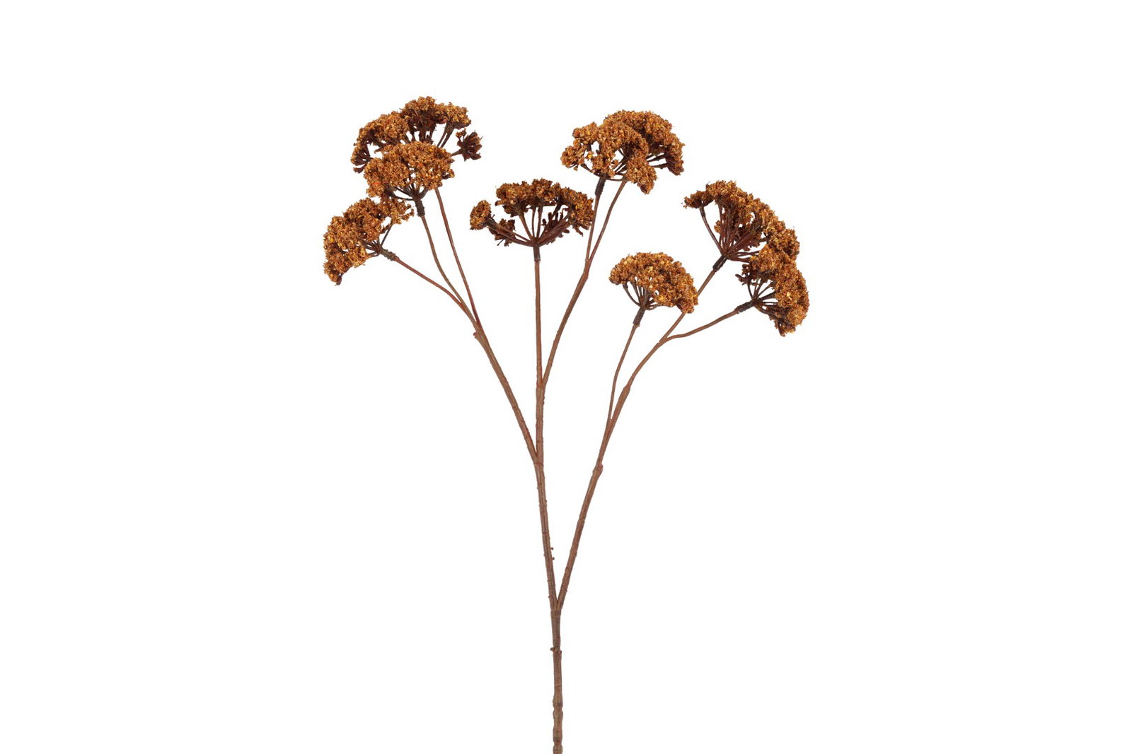 Kunstbloem Eupatorium S lichtbruin Countryfield - Countryfield