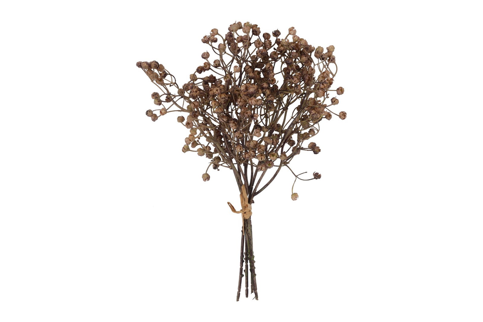 https://cdn.warentuin.nl/media/catalog/product/S/C/SCAN8718318253569_kunstbundel_ilex_serrata_lichtbruin_countryfield_b5f4.jpg
