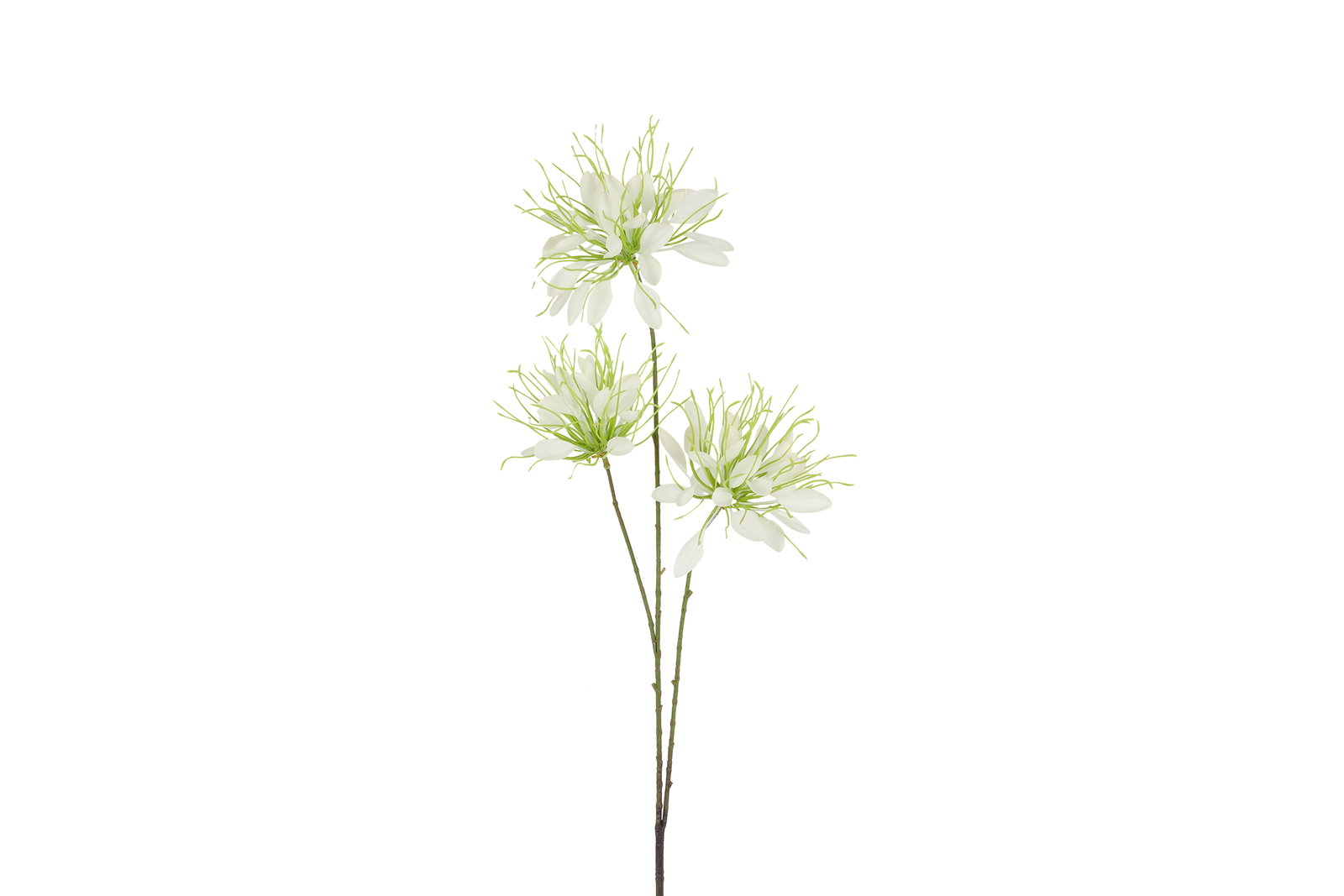 https://cdn.warentuin.nl/media/catalog/product/S/C/SCAN8718318279781_kunstbloem_lycoris_s_wit_countryfield_dda5.jpg