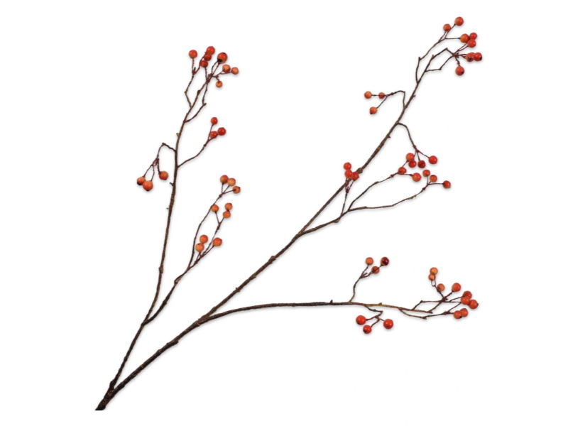 Silk-ka Kunstbloem-Zijden Bloem-Kunsttak Bessentak Oranje 94 cm