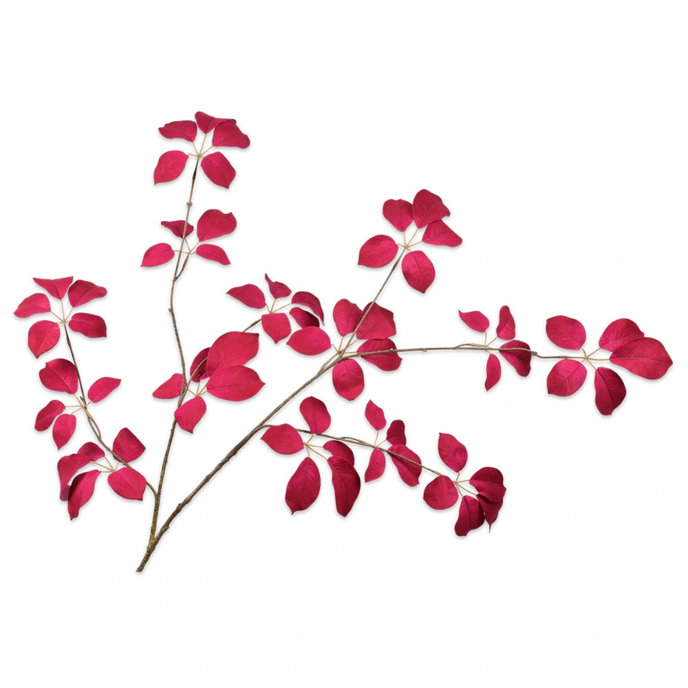 https://cdn.warentuin.nl/media/catalog/product/S/C/SCAN8718648366687_blad_fluweel_beauty_134_cm_kunsttak_buiten_bb6a.jpg