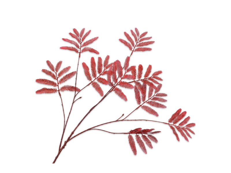Mimosasteel l104 cm rood - Silk-Ka