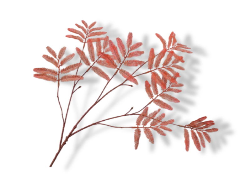https://cdn.warentuin.nl/media/catalog/product/S/C/SCAN8718648404501_01_silk_ka_kunstbloemen_mimosasteel_l104_cm_oranje_92a1.jpg