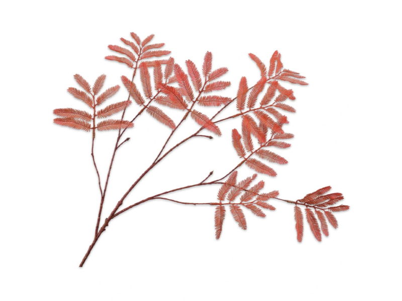 Mimosasteel l104 cm oranje - Silk-Ka