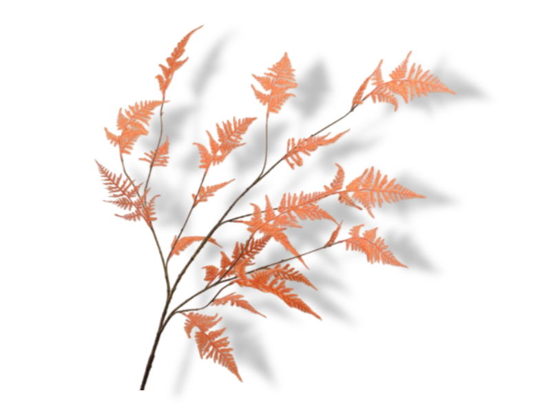 https://cdn.warentuin.nl/media/catalog/product/S/C/SCAN8718648406925_01_silk_ka_kunstbloemen_asparagustak_l141_cm_oranj_bce7.jpg