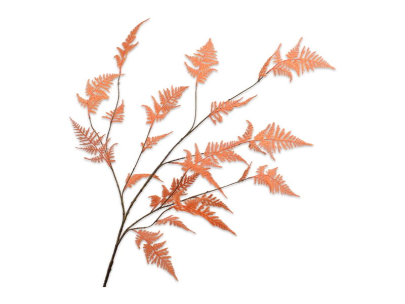 https://cdn.warentuin.nl/media/catalog/product/S/C/SCAN8718648406925_silk_ka_kunstbloemen_asparagustak_l141_cm_oranj_44a1.jpg