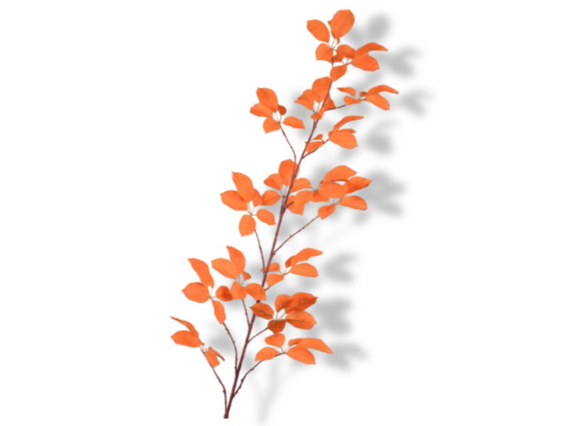 https://cdn.warentuin.nl/media/catalog/product/S/C/SCAN8718648407823_01_silk_ka_kunstbloemen_bladtak_l164_cm_oranje_5540.jpg