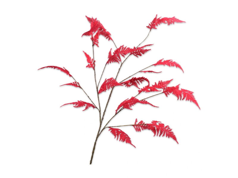 Asparagustak l141 cm rood - Silk-Ka