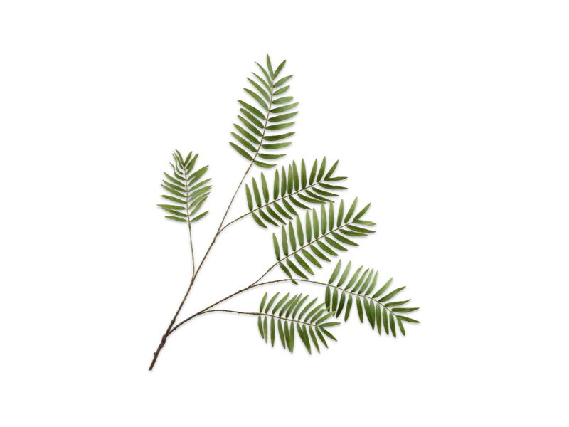 Varentak l121 cm groen - Silk-Ka