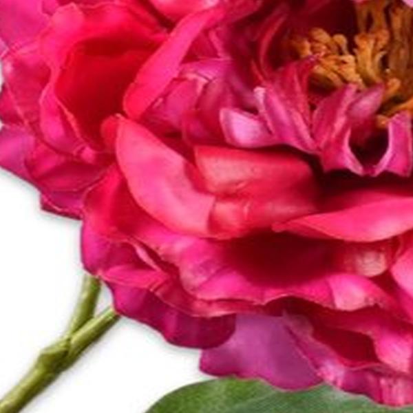 https://cdn.warentuin.nl/media/catalog/product/S/C/SCAN8718648492423_01_zijde_bloemen_kunsttak_pioenroos_beauty_79_cm_f7b3.jpg