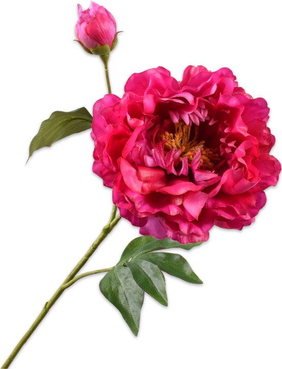 https://cdn.warentuin.nl/media/catalog/product/S/C/SCAN8718648492423_zijde_bloemen_kunsttak_pioenroos_beauty_79_cm_114f.jpg