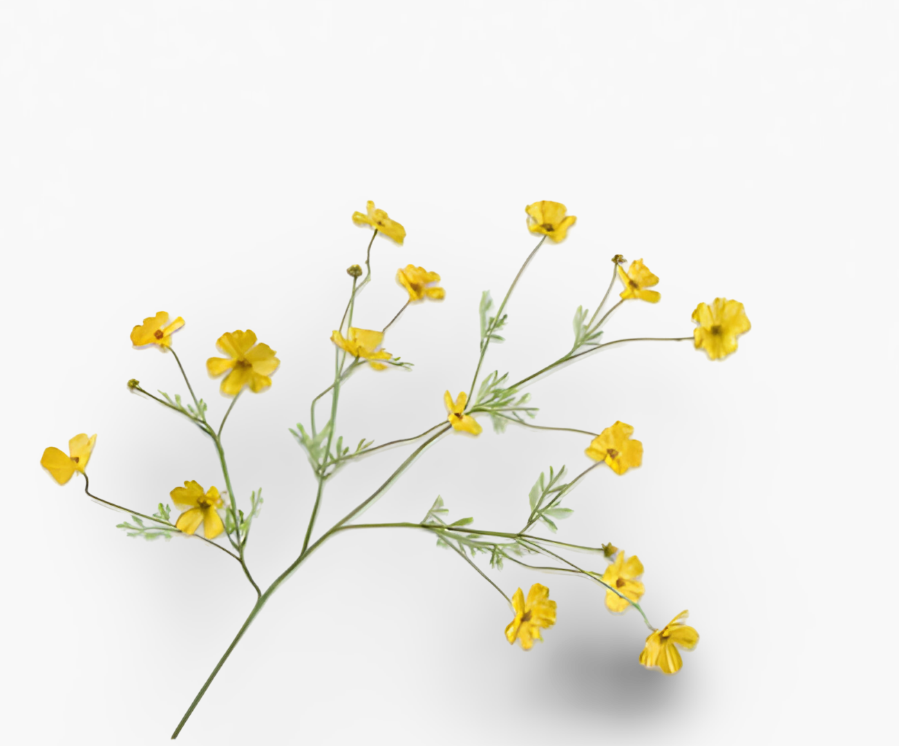 https://cdn.warentuin.nl/media/catalog/product/S/C/SCAN8718648492911_01_cosmos_tak_geel_rt_104_cm_silk_ka_2777.png