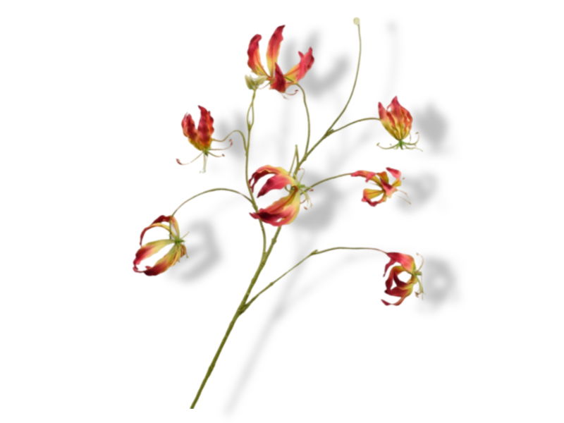 https://cdn.warentuin.nl/media/catalog/product/S/C/SCAN8718648511162_01_silk_ka_kunstbloemen_gloriosasteel_l110_cm_geel_8c55.jpg