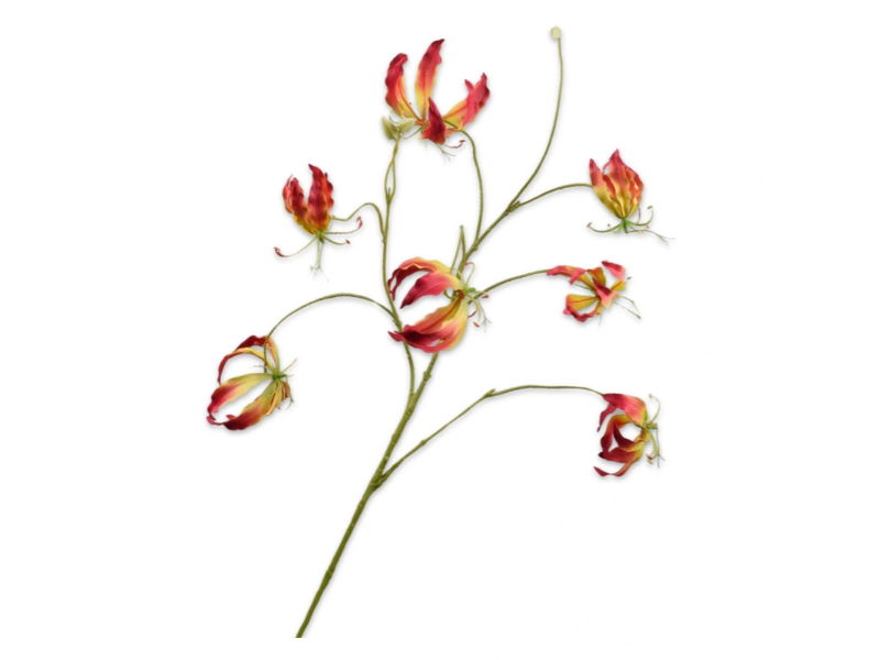 https://cdn.warentuin.nl/media/catalog/product/S/C/SCAN8718648511162_silk_ka_kunstbloemen_gloriosasteel_l110_cm_geel_5318.jpg