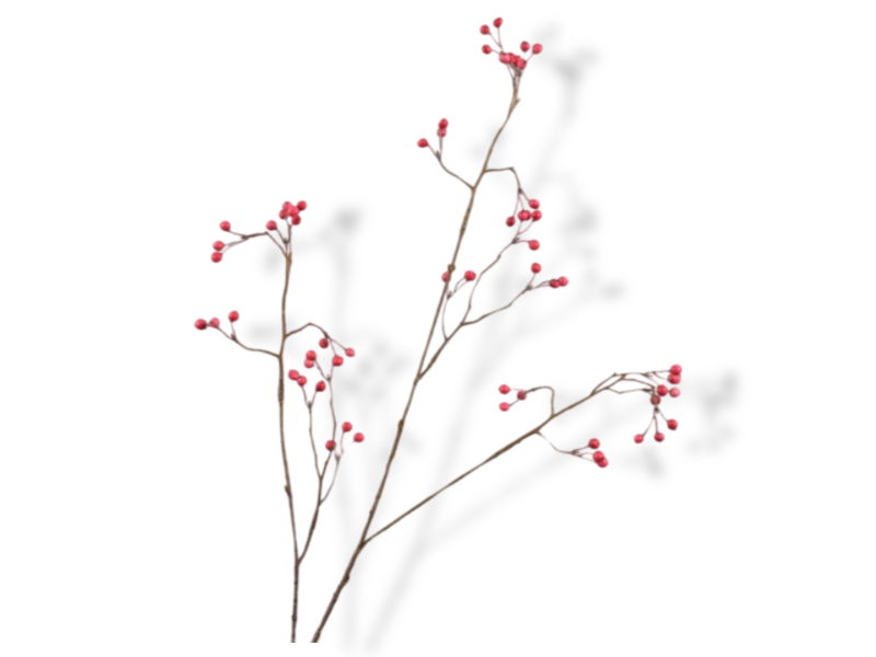 https://cdn.warentuin.nl/media/catalog/product/S/C/SCAN8718648520119_01_silk_ka_kunstbloemen_bessentak_l94_cm_rood_2f53.jpg