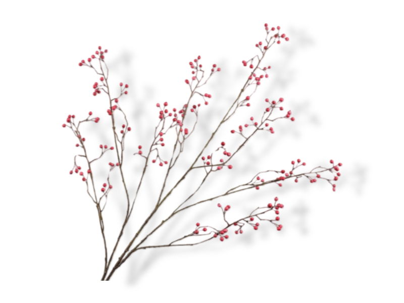 https://cdn.warentuin.nl/media/catalog/product/S/C/SCAN8718648520140_01_silk_ka_kunstbloemen_bessentak_l133_cm_rood_458e.jpg