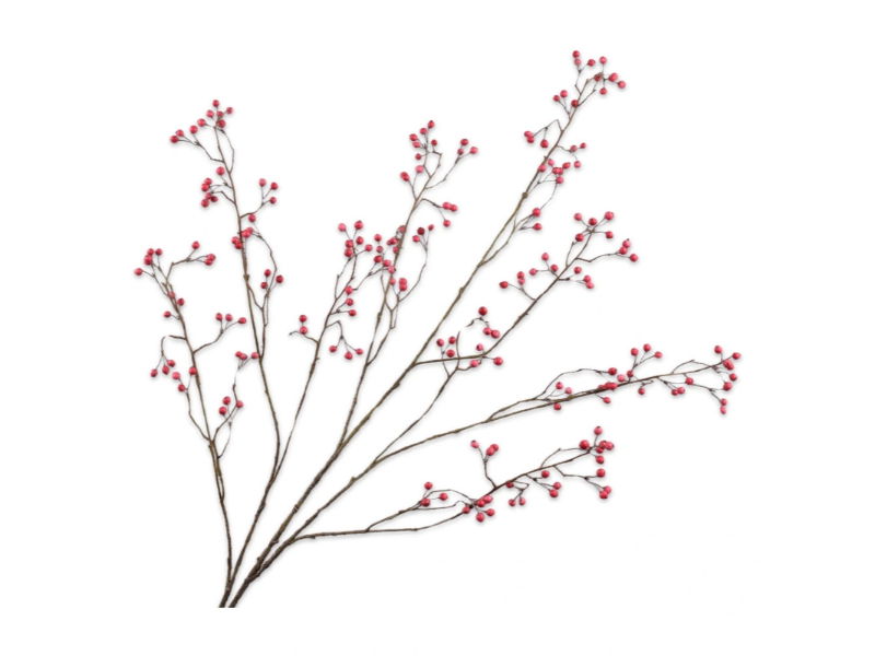 https://cdn.warentuin.nl/media/catalog/product/S/C/SCAN8718648520140_silk_ka_kunstbloemen_bessentak_l133_cm_rood_693a.jpg