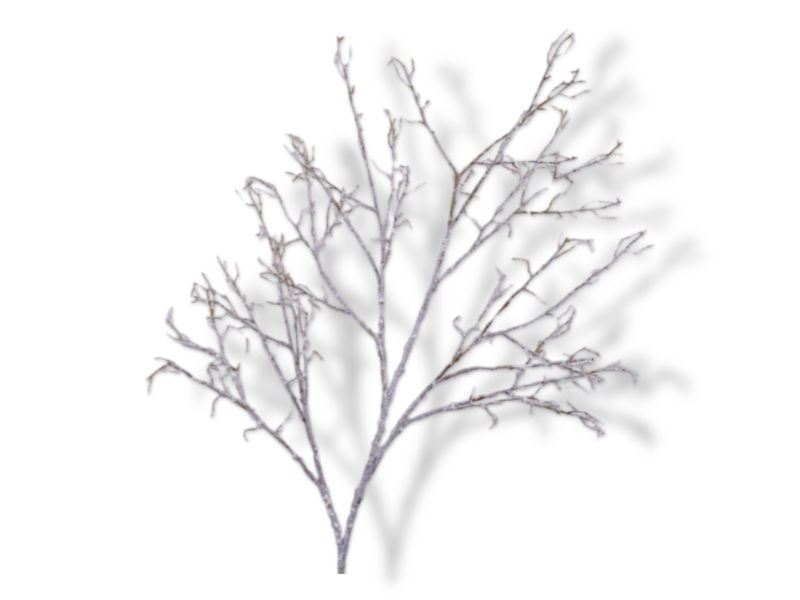https://cdn.warentuin.nl/media/catalog/product/S/C/SCAN8718648520560_01_silk_ka_kerstzijde_en_takken_besneeuwd_met_glit_58cd.jpg