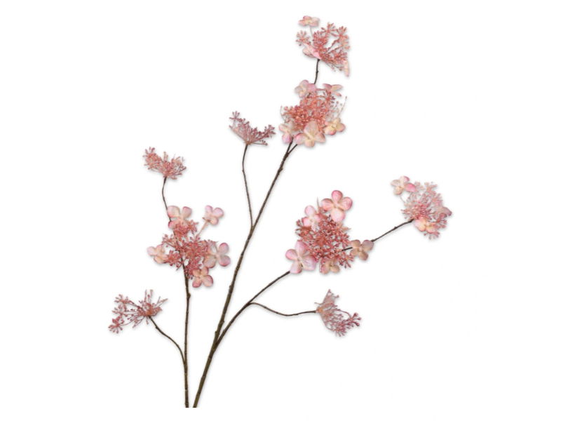 https://cdn.warentuin.nl/media/catalog/product/S/C/SCAN8718648521055_silk_ka_kunstbloemen_hortensiatak_l115_cm_creme_7315.jpg