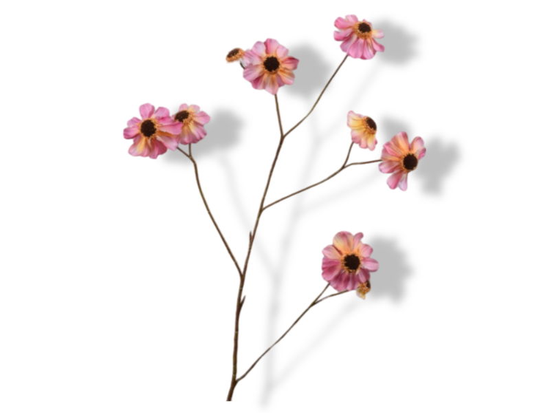 https://cdn.warentuin.nl/media/catalog/product/S/C/SCAN8718648521536_01_silk_ka_kunstbloemen_rudbeckiatak_l101_cm_roze_d11c.jpg