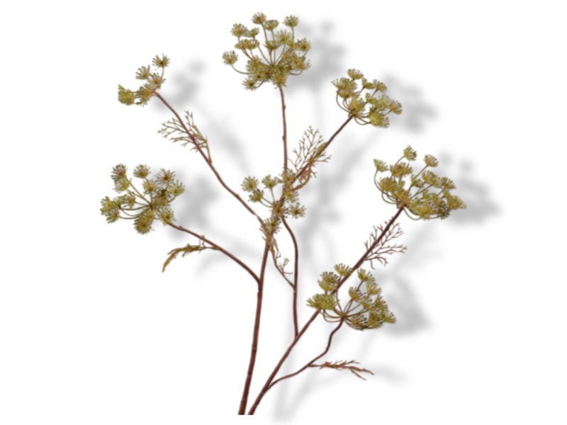https://cdn.warentuin.nl/media/catalog/product/S/C/SCAN8718648522151_01_silk_ka_kunstbloemen_dilletak_l105_cm_groen_8ea6.jpg