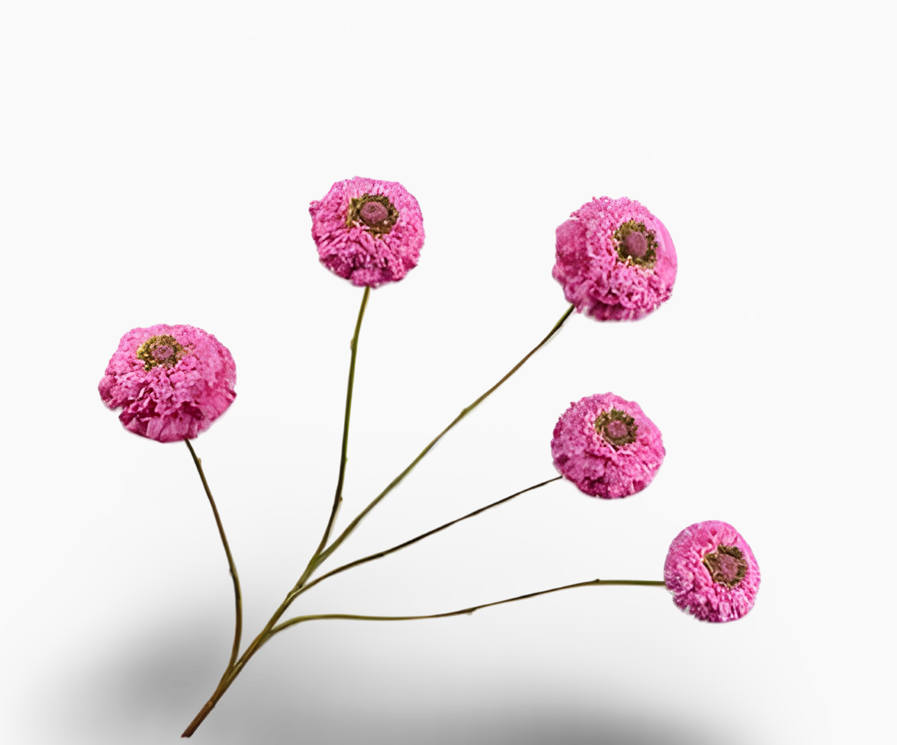 https://cdn.warentuin.nl/media/catalog/product/S/C/SCAN8718648523684_01_zinnia_tak_lavendel_91_cm_silk_ka_45ad.png