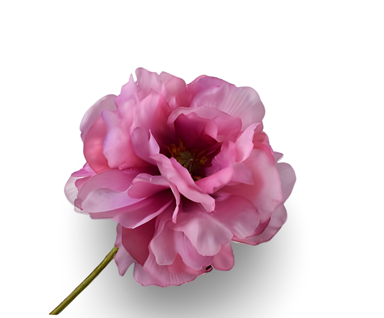 https://cdn.warentuin.nl/media/catalog/product/S/C/SCAN8718648547666_01_klaproos_steel_mauve_groen_rt_73_cm_silk_ka_dcaa.png