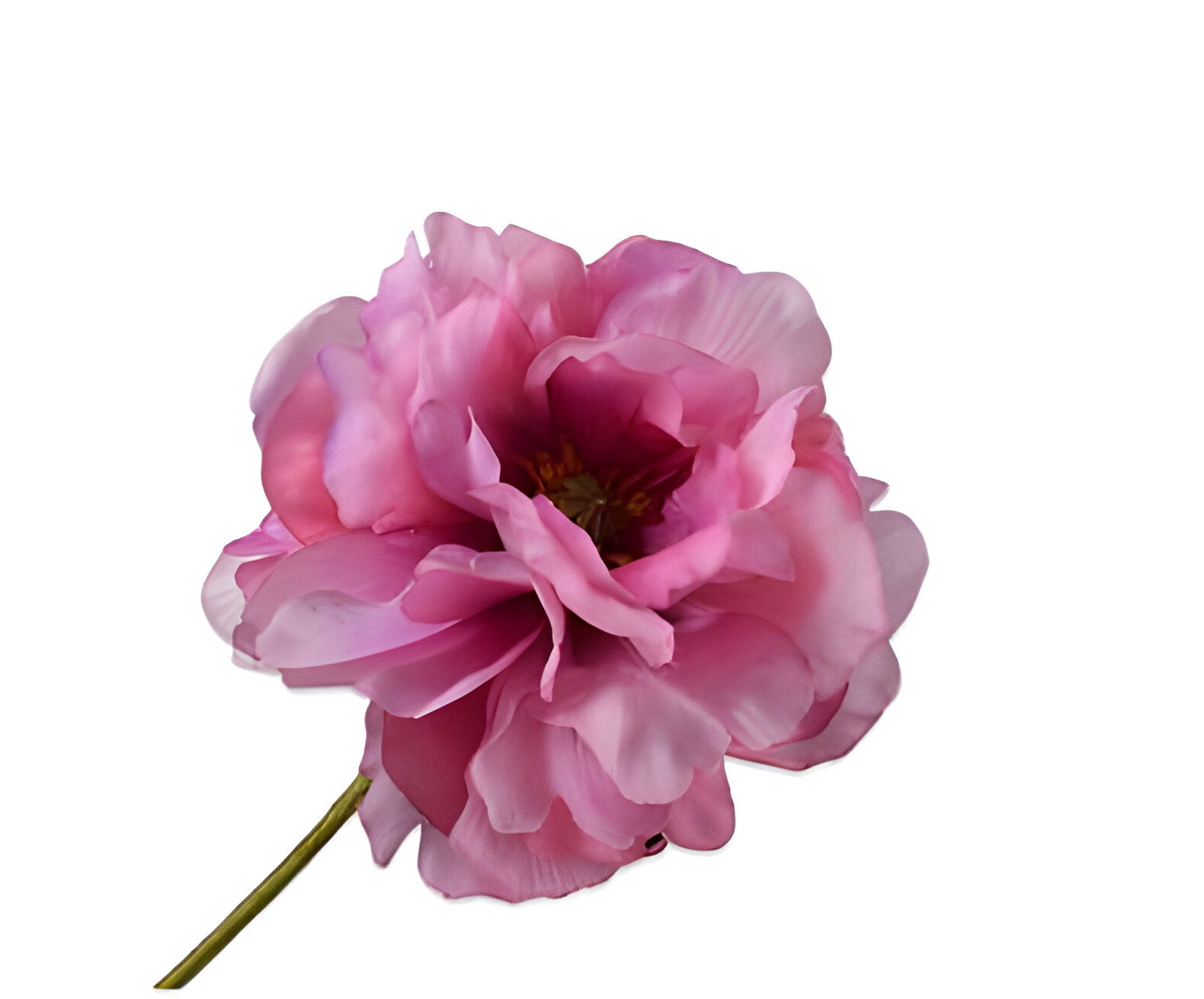 https://cdn.warentuin.nl/media/catalog/product/S/C/SCAN8718648547666_klaproos_steel_mauve_groen_rt_73_cm_silk_ka_765b.jpg