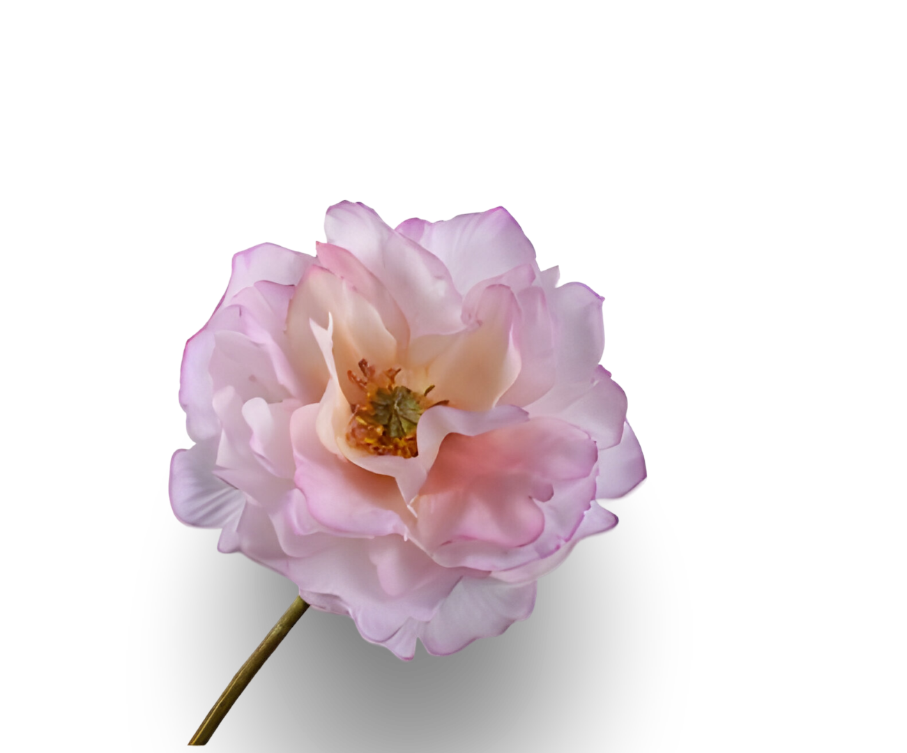https://cdn.warentuin.nl/media/catalog/product/S/C/SCAN8718648547734_01_klaproos_steel_roze_lt_rt_73_cm_silk_ka_c59c.png