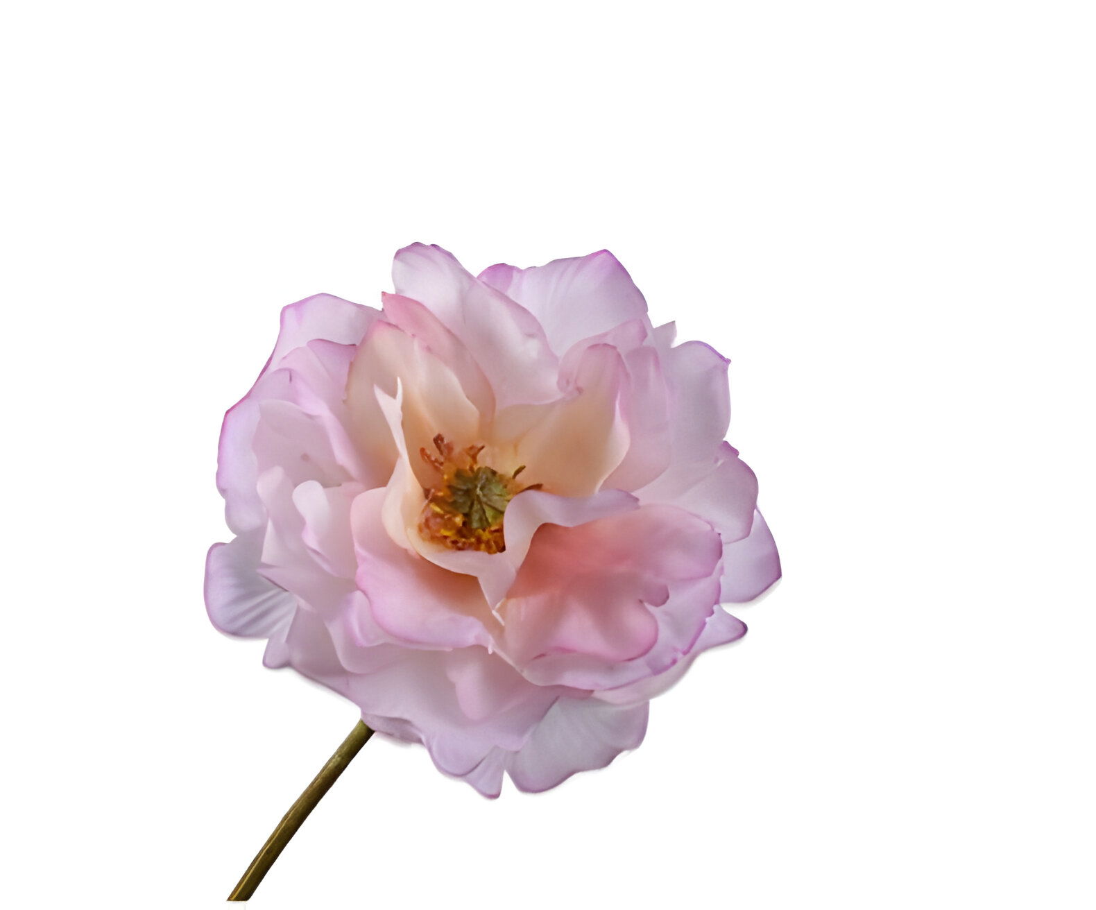 https://cdn.warentuin.nl/media/catalog/product/S/C/SCAN8718648547734_klaproos_steel_roze_lt_rt_73_cm_silk_ka_8648.jpg